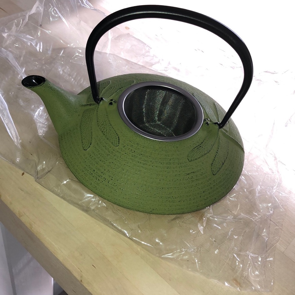 Teavana Japanese cast iron pot